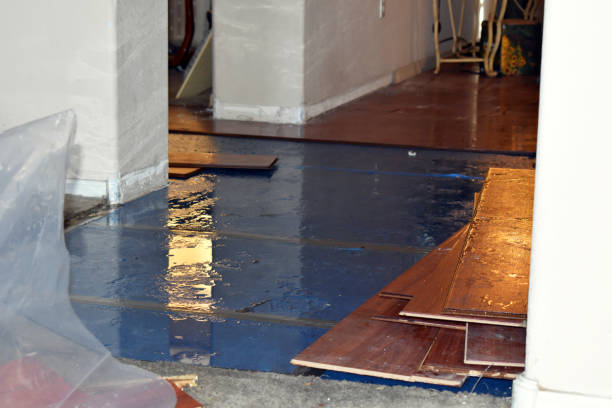 Professional Water Damage Restoration technician working in Winfield, TN